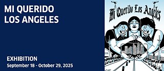 nic_2025_mi-querido-run_2300x1000