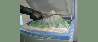 Discourse on the origins of inequality among ≥ ≈