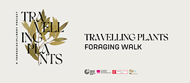 Foraging Walk © Goethe-Institut / Max Mueller Bhavan New Delhi