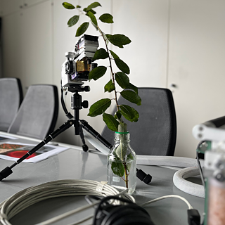 Deutschland-Reise 2022 Göttingen