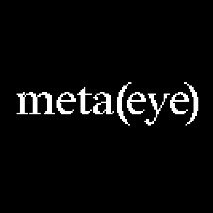 Meta Eye logo