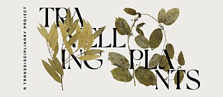 Travelling Plants Teaser Image