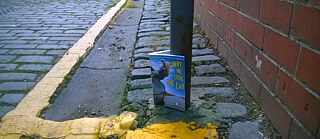 Book Cover: Why We Took the Car