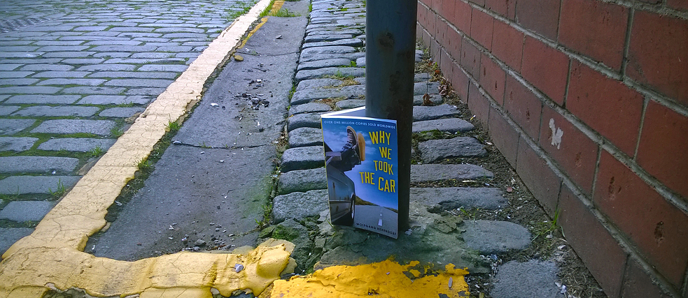 Book Cover: Why We Took the Car