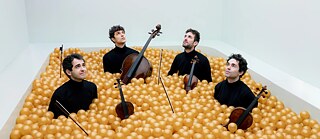 Vision Strings Quartet