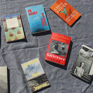 Foto von Büchern, die auf einer blauen Decke liegen. 