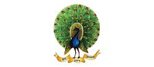 Science Film Festival - Partner - India - Mayoor School, Noida
