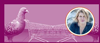 A purple-tinted photo shows a dove with a shopping cart, one on the left and one on the right edge of the image.