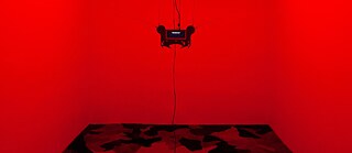 Aron Lodi (with Szilvia Bolla) - Maps of the Untamed Threshold - 2022