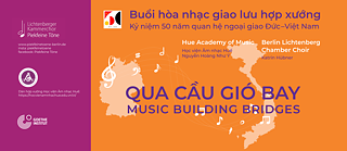 Qua cau gio bay in Hue