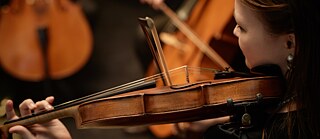 Einblick in die Welt der Streichinstrumente
