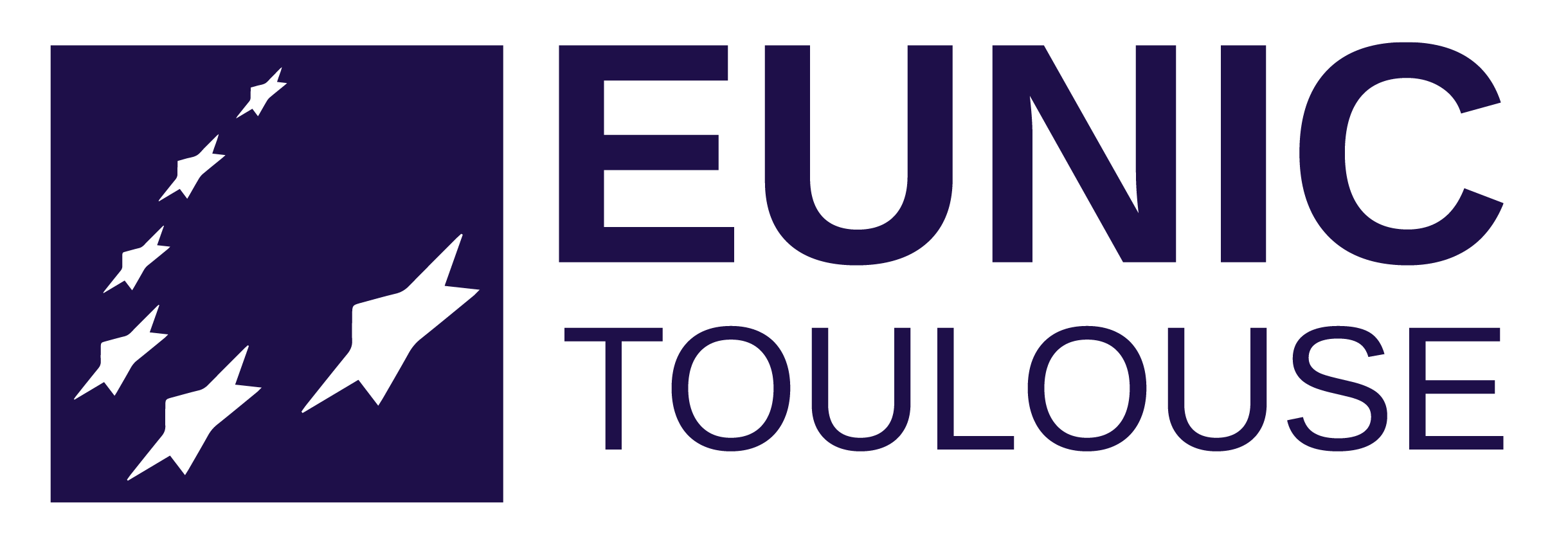 L'image montre le logo de EUNIC.
