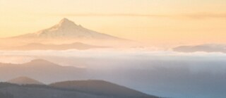 Foto: Banner WK26_2,3_dt