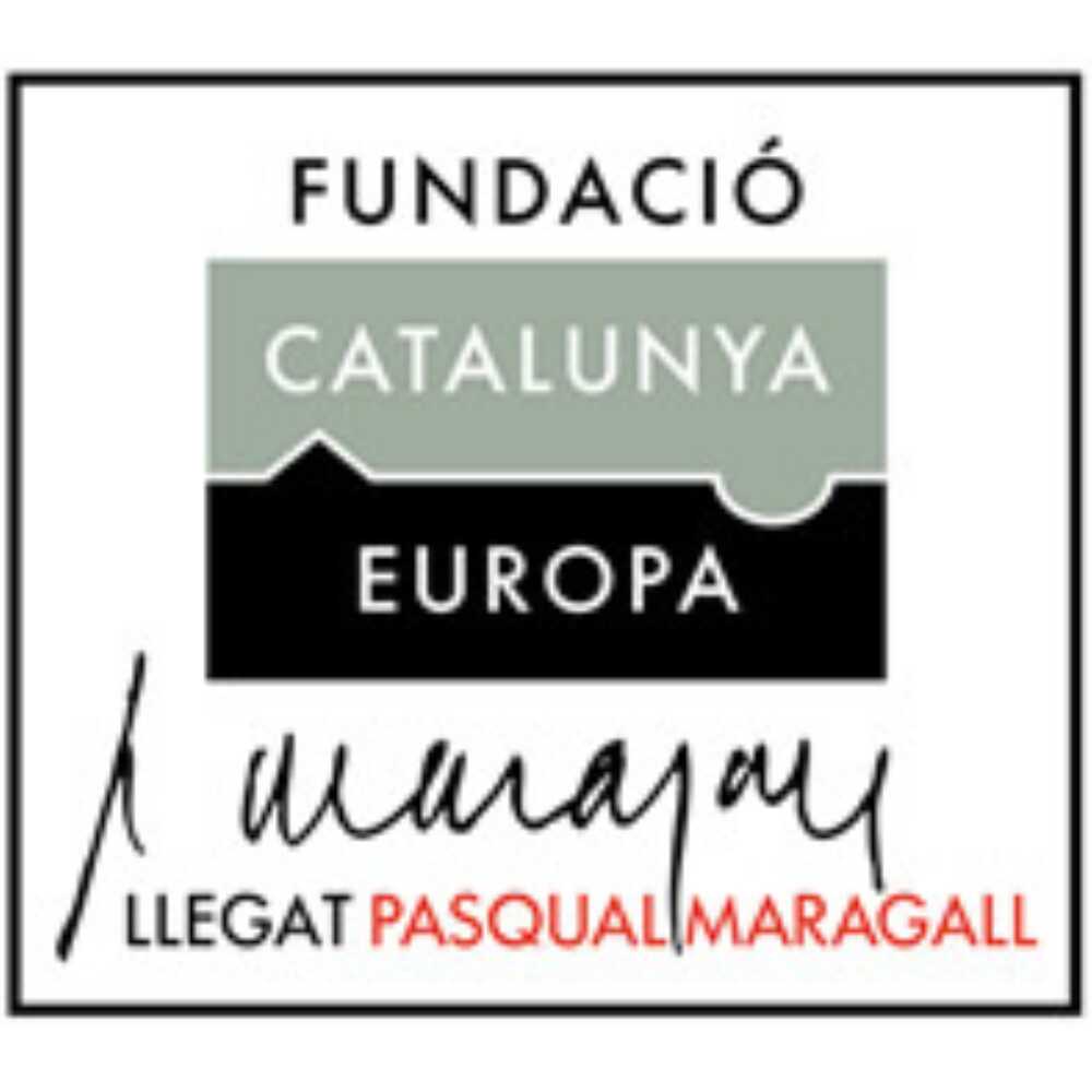 Logo Fundacio Catalunya 1000x1000