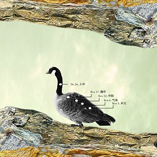 nic_2025_innerlandscapes_pop-up_1080x1080