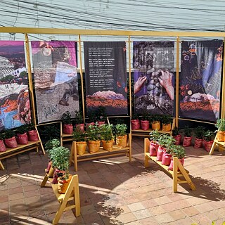 Papas/Kartoffeln: die Kartoffel als kulturelles Bindeglied – Ausstellung in Sucre zum Bicentenario Boliviens