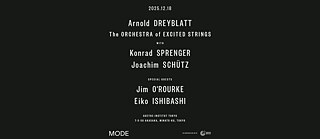 Arnold Dreyblatt The Orchestra of Excited Strings