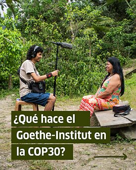 Cosmopercepciones del bosque