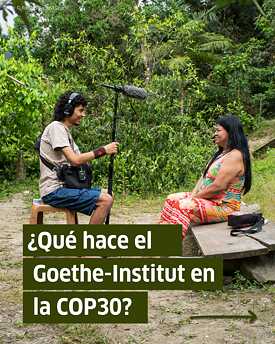 Cosmopercepciones del bosque