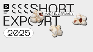 Visual SHORT EXPORT 2025