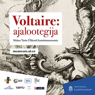 Historischer Kupferstich, auf dem ein Pferd abgebildet ist.