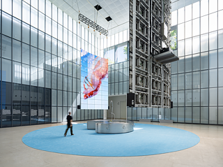 Exhibition at MMCA Seoul Box X LG OLED, TZUSOO, 2025