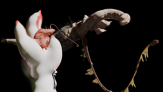 The Eight Spirits of Flesh-TAE & GAN, 2025