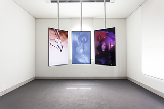 Schroedingers Baby, 2019/2020, The Galerie Stadt Sindelfingen