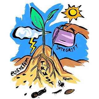 Visual representation of Trust Ecosystem