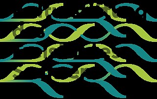 Kulturstiftung des Freistaates Sachsen