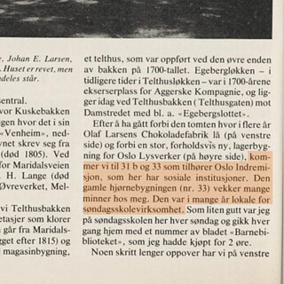 Ausschnitt aus einem Zeitungsartikel