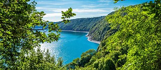 paisatge a Alemanya amb bosc i aigua