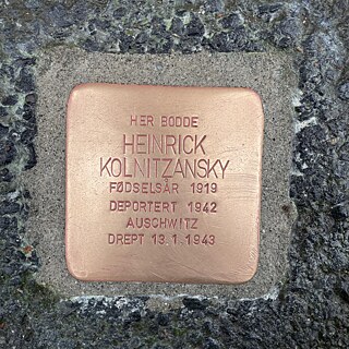 Foto: Draufsicht auf den Stolperstein für Heinrick Kolnitzansky auf dem Gehweg