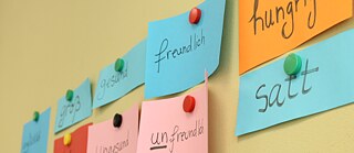 Exerciții de vocabular