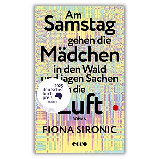 Sironic: Am Samstag gehen die Mädchen in den Wald und jagen Sachen in die Luft (book cover)