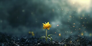 Eine kleine Blume, die gelb blüht inmitten verbrannter Erde. Rechts oben scheint ein helles Licht. In der Luft schwirren Funken umher.