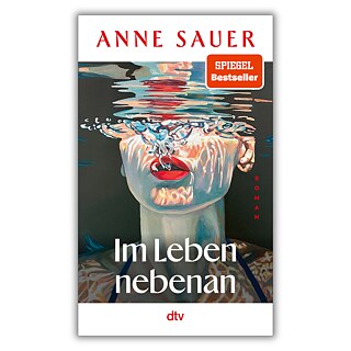 Anne Sauer: Im Leben nebenan (Buchcover)