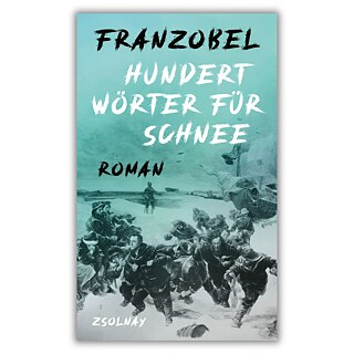 Franzobel: Hundert Wörter für Schnee (Buchcover)