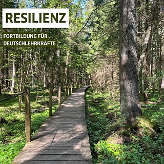 Resilienz