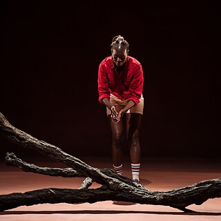 Eine Frau und ein Ast