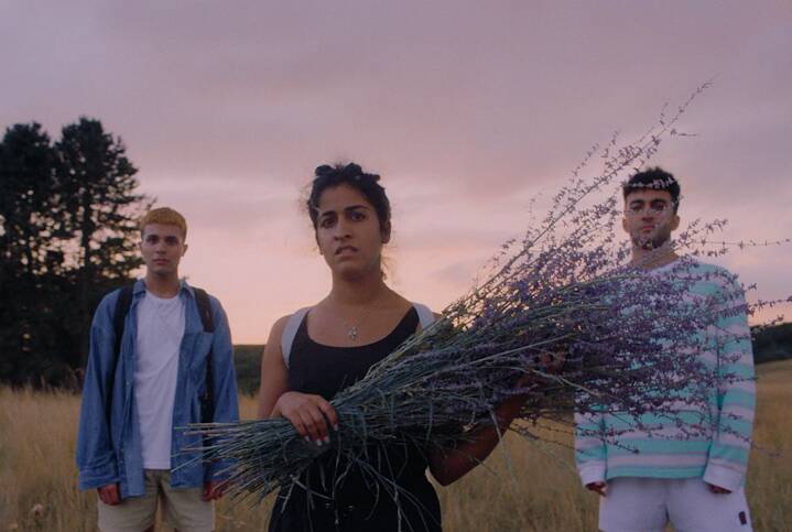 Drei Personen stehen in einem grasbewachsenen Feld. Die mittlere Person hält einen großen Bund violetter, länglicher Pflanzen. Hinter ihnen sind hohe Bäume und ein Himmel in Rosa‑ und Lilatönen zu sehen.