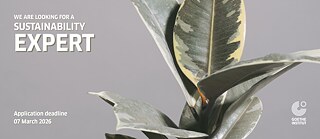 Sustainability Expert Services