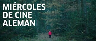 Szene eines Waldes, in dem ein Mädchen von hinten zu sehen ist.