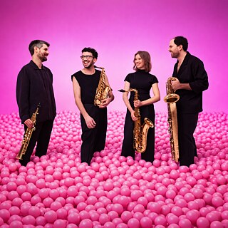 Group picture of Arcis saxophone quartet