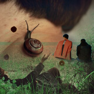 Courtisane - notes on cinema 