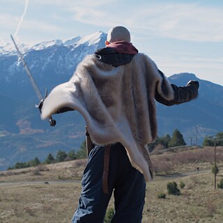 Laurent dans le vent 