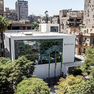 صورة 3 لبيت النخيل - روجيه أنيس &copy; © روجيه أنيس صورة 3 لبيت النخيل - روجيه أنيس