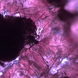 Digitalna fotografija 1200x1200