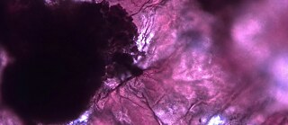 Digitalna fotografija 2300x1000