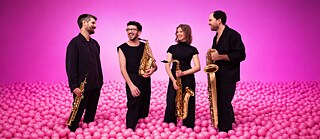 Arcis Gruppenbild 2300 x 1000